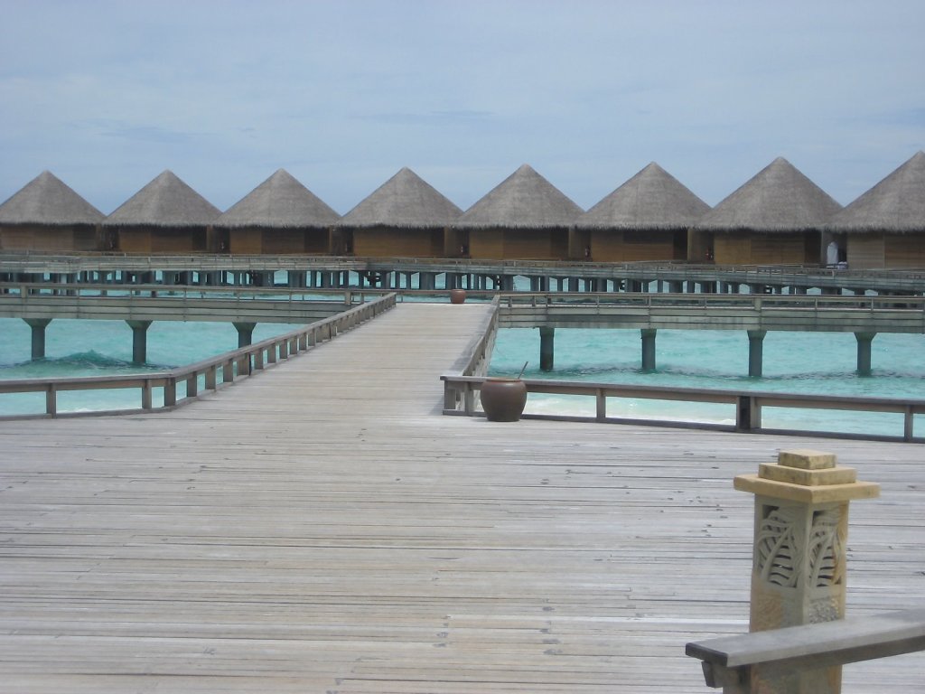 IMG-0451.JPG